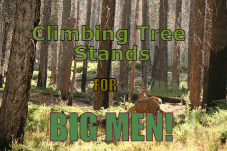 Top 3 Best Climbing Tree Stands For Big Men