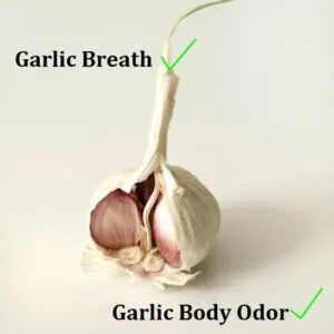 Foods That Make Body Odor Bad